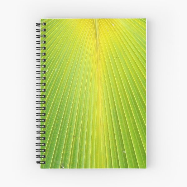Item preview, Molokai Palm Fan designed and sold by Robert Meyers-Lussier.