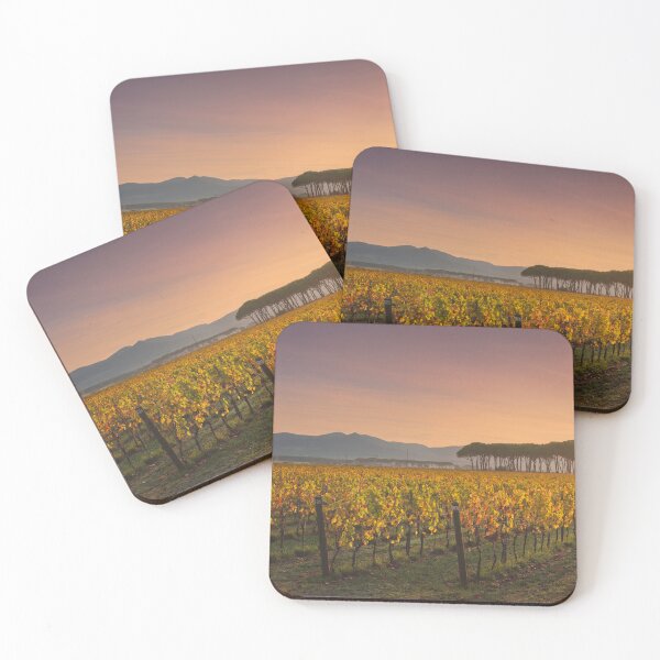Item preview, Bolgheri vineyard, and pine trees group at sunrise. Tuscany designed and sold by Stefano Orazzini.