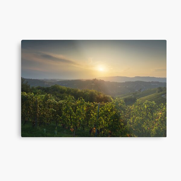 Vineyards of Langhe and Castiglione Falletto village. Italy Metal Print