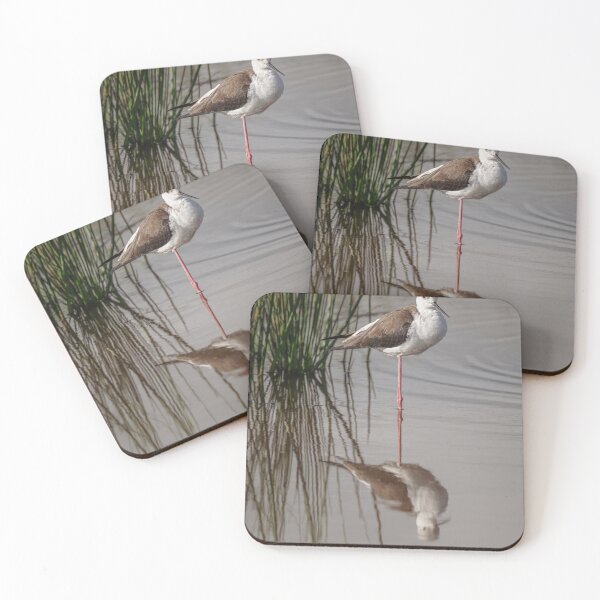 Item preview, Black-Winged Stilt Tanzania Africa designed and sold by PhotoArt by Joan Carroll.