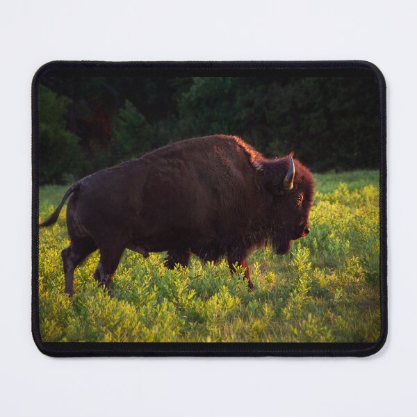 Item preview, Sunset Buffalo designed and sold by Khervey.