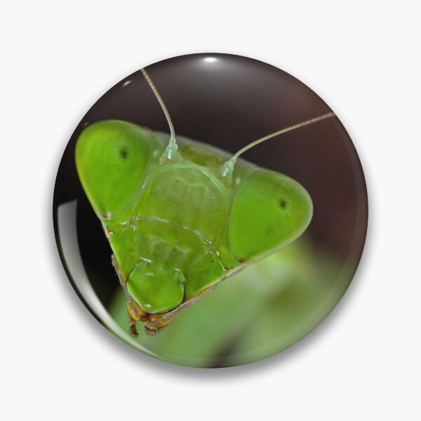 Item preview, Praying mantis designed and sold by TUmantis.