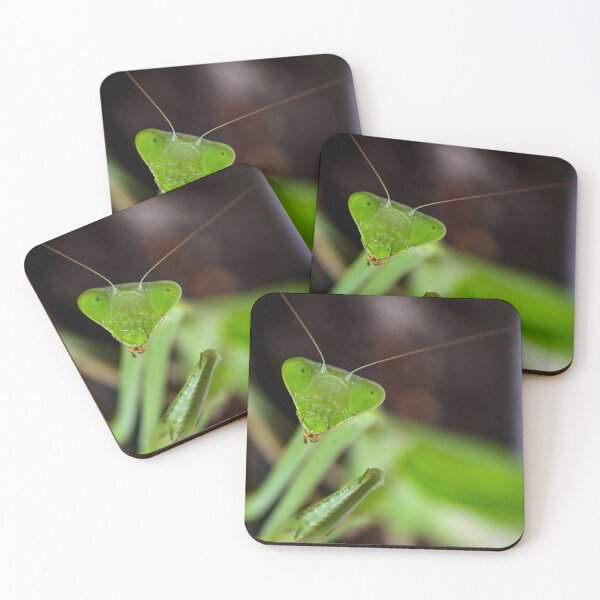 Item preview, Praying mantis designed and sold by TUmantis.