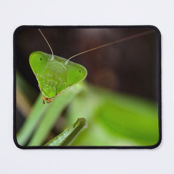 Item preview, Praying mantis designed and sold by TUmantis.