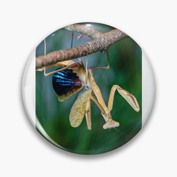 Item preview, Mantis Threat Display designed and sold by TUmantis.