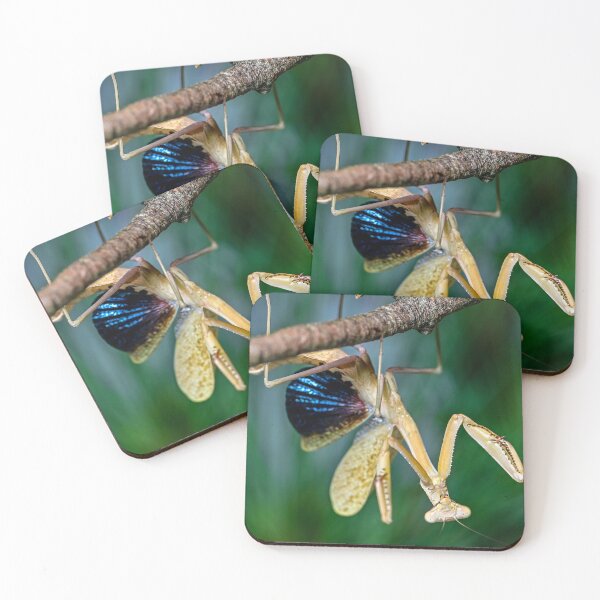 Item preview, Mantis Threat Display designed and sold by TUmantis.