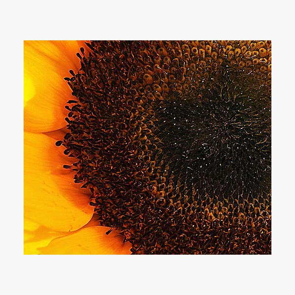 Item preview, Partial Eclipse designed and sold by Gayle Dolinger.