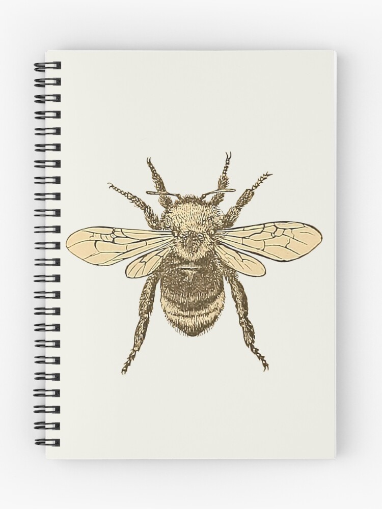 Thumbnail 1 of 3, Journal, bombs designed and sold by Ayqueabeja.