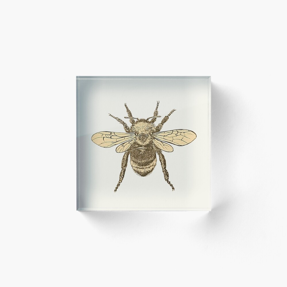 Item preview, Acrylic Block designed and sold by Ayqueabeja.