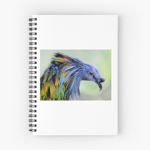 Item preview, Nicobar Pigeon designed and sold by Laurie Minor.