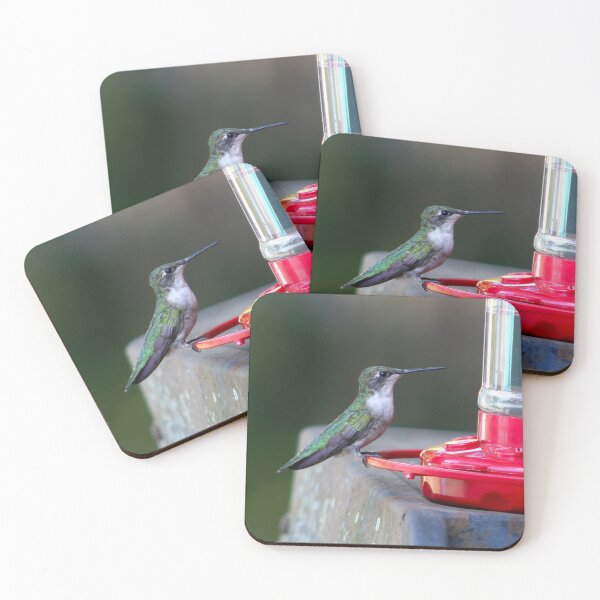 Item preview, female ruby-throated humming bird designed and sold by McFleur's Lens.