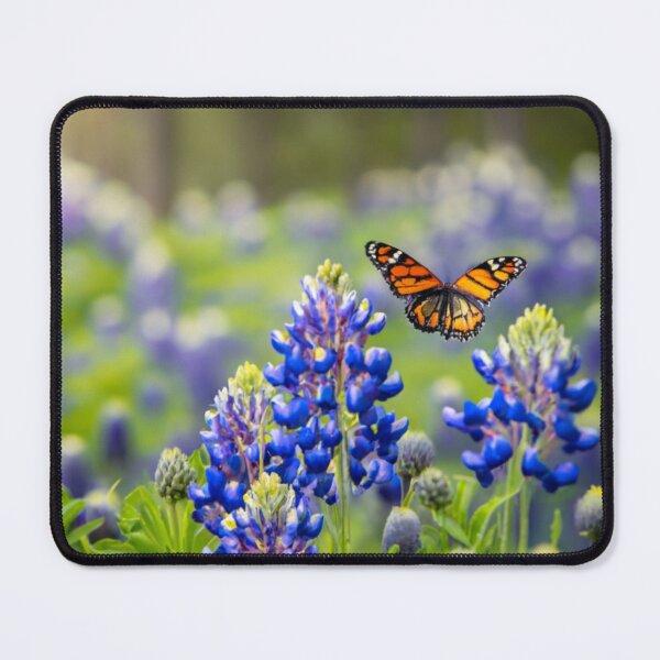 Item preview, Bluebonnet Butterfly designed and sold by Trulytexas.