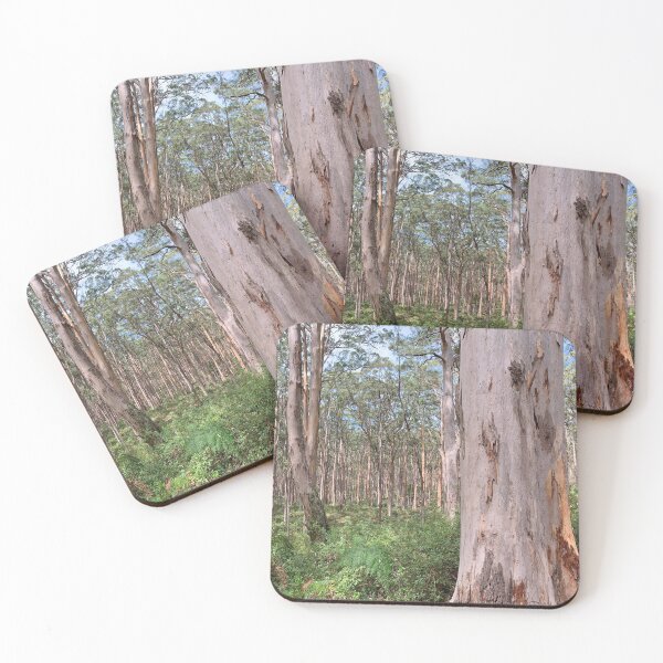 Item preview, Karri Eucalyptus, Western Australia. designed and sold by Deb Morley.