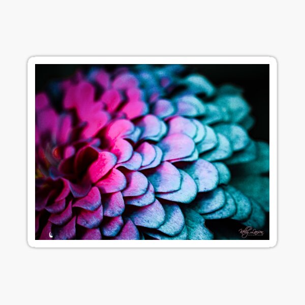 Item preview, Wild Zinnia Intensity 9 of 9 designed and sold by Kelly Larson.