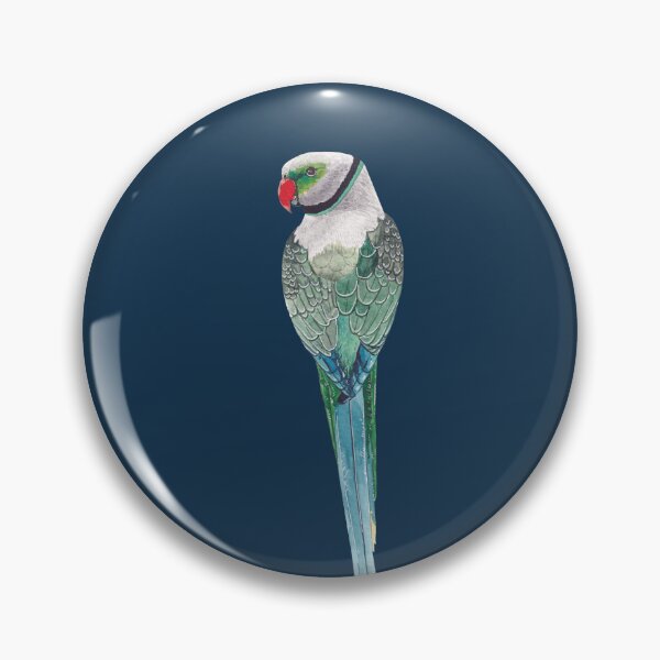 Item preview, MALABAR PARAKEET-Psittacula columboides designed and sold by BEATRIZ ABAITUA.