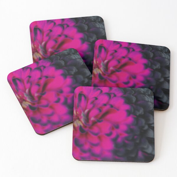 Item preview, Wild Zinnia Black Velvet 4 of 9 designed and sold by Kelly Larson.