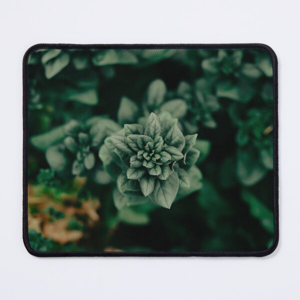 Item preview, Plant Head designed and sold by LensMedia.