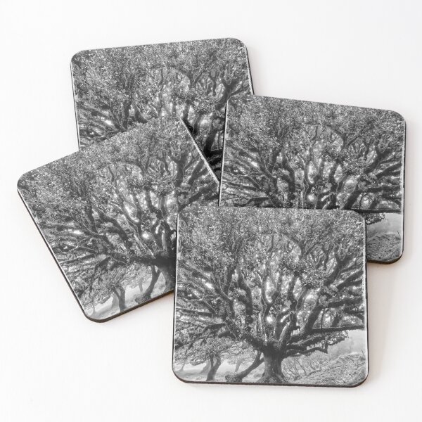Item preview, MAGICAL FOREST FANAL 1 designed and sold by justyna-s28.