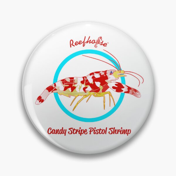 Item preview, Candy Stripe Pistol Shrimp designed and sold by KaplanCrypto.