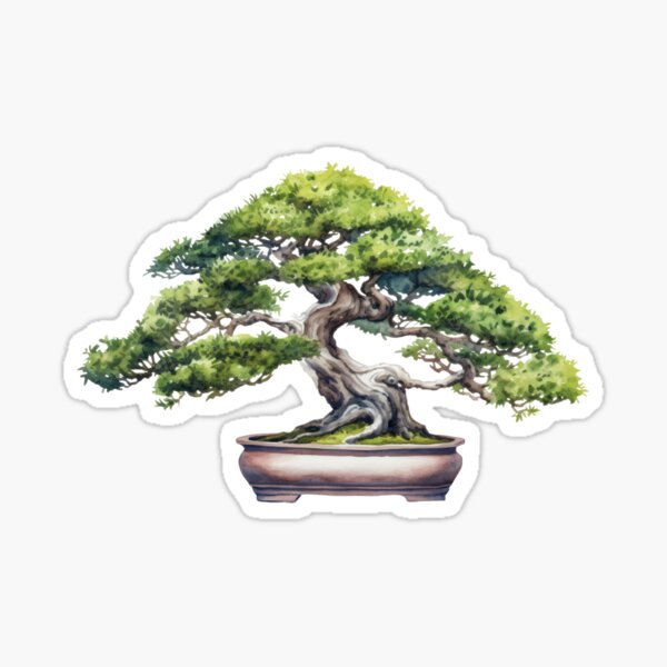 Aperçu de l'œuvre Aquarelle de bonsaï Shohin créée et vendue par rooocz.