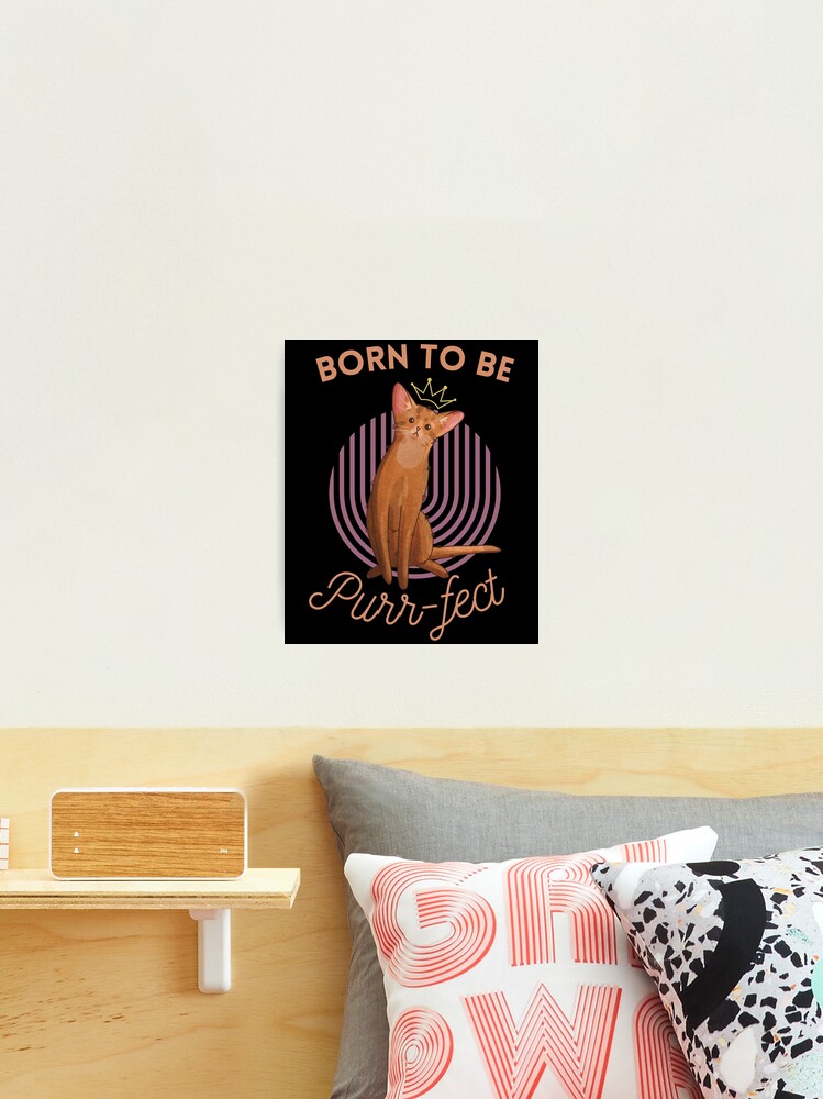 Thumbnail 1 of 3, Photographic Print, Born to be Purr-fect - Abyssinian Cat - Gifts for cat lovers designed and sold by FelineEmporium.