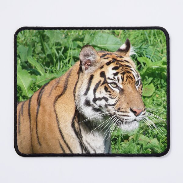 Item preview, Tiger designed and sold by IrinaNik.