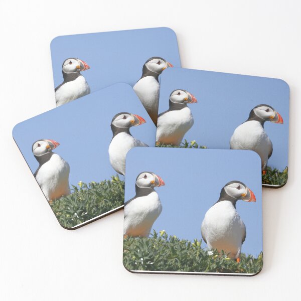 Item preview, Posing Puffins designed and sold by MartinPhotos.