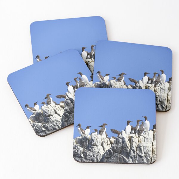 Item preview, Guillemots on a rock designed and sold by MartinPhotos.