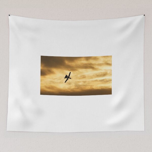 Item preview, Out of the Fire at the Wings over Batavia AirShow designed and sold by fototaker Tony.