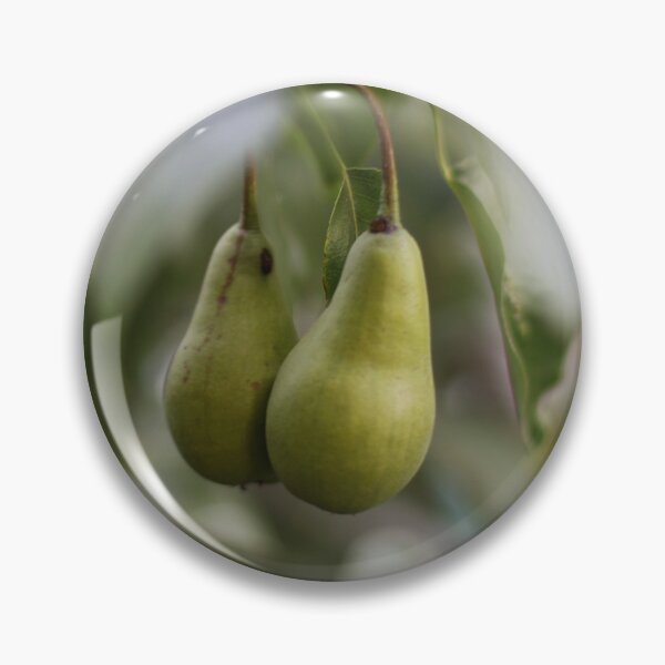 Item preview, green pear hanging on a branch among the leaves designed and sold by LiubovAvdeeva.