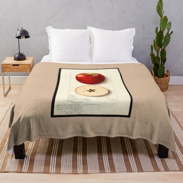 Item preview, Pomological Watercolor of Rome Apple (Malus domestica) designed and sold by Amanda1775.