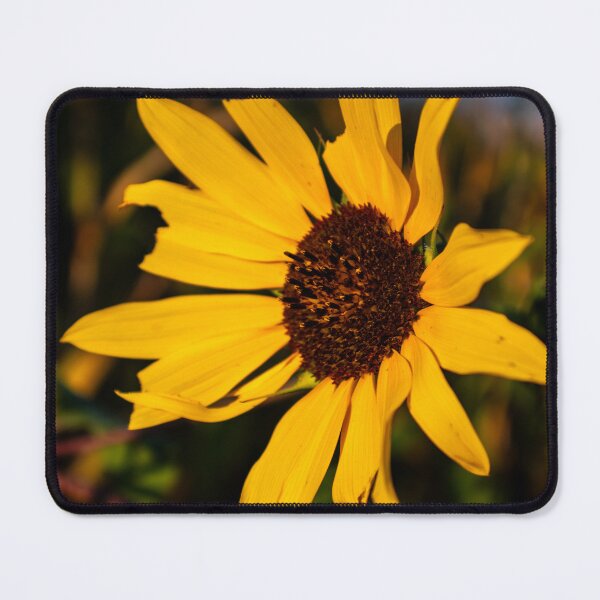 Item preview, Sun Yellow Flowers designed and sold by ZachCaraway.