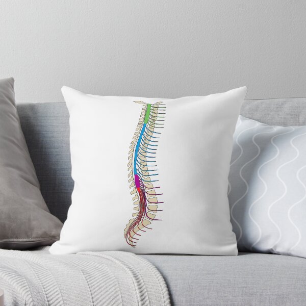 Item preview, Spine Illustration designed and sold by aleksandrax98.