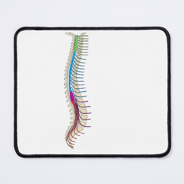 Item preview, Spine Illustration designed and sold by aleksandrax98.