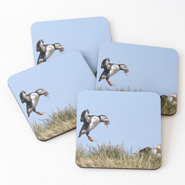 Item preview, Puffin returns to the nest with a beak full of sand eels designed and sold by MartinPhotos.