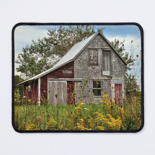 Item preview, Goldenrod Glory: A pretty barn sits nestled behind the yellow goldenrod designed and sold by Amanda White.