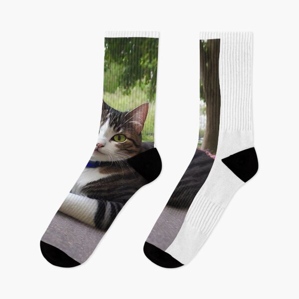 Item preview, Ba Dum Tss Cat Mem Essential, classic, funny designed and sold by SociableAnimals.