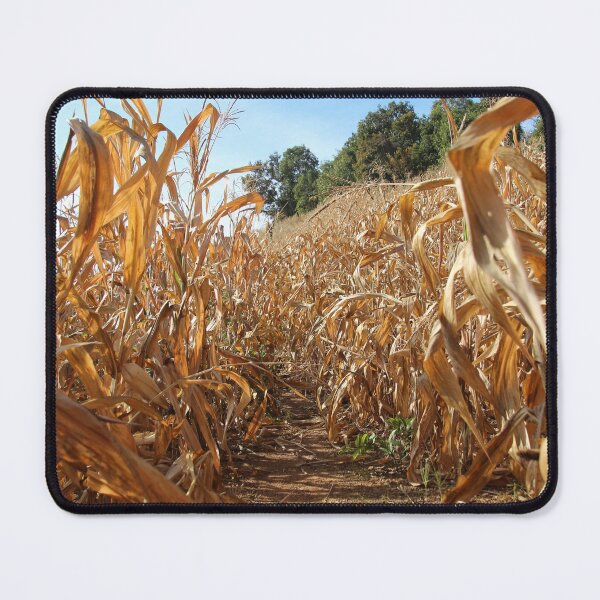 Item preview, corn field in summer designed and sold by Chigurena.