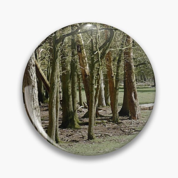 Artikelvorschau, Hohe Bäume von Het Loo entworfen und verkauft von LnatureGreen.