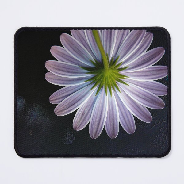 Item preview, There is Still Life on Canvas designed and sold by Barbara Burkhardt.