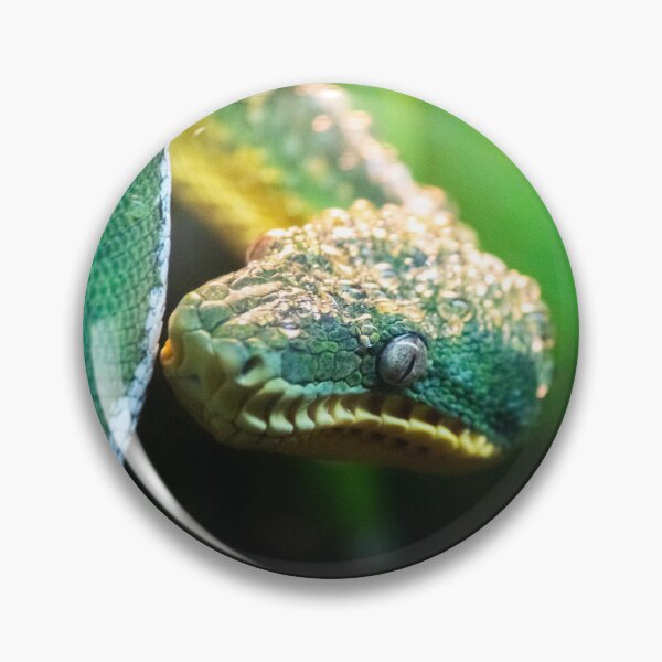 Item preview, Green Tree Python designed and sold by DoubleDownRB.