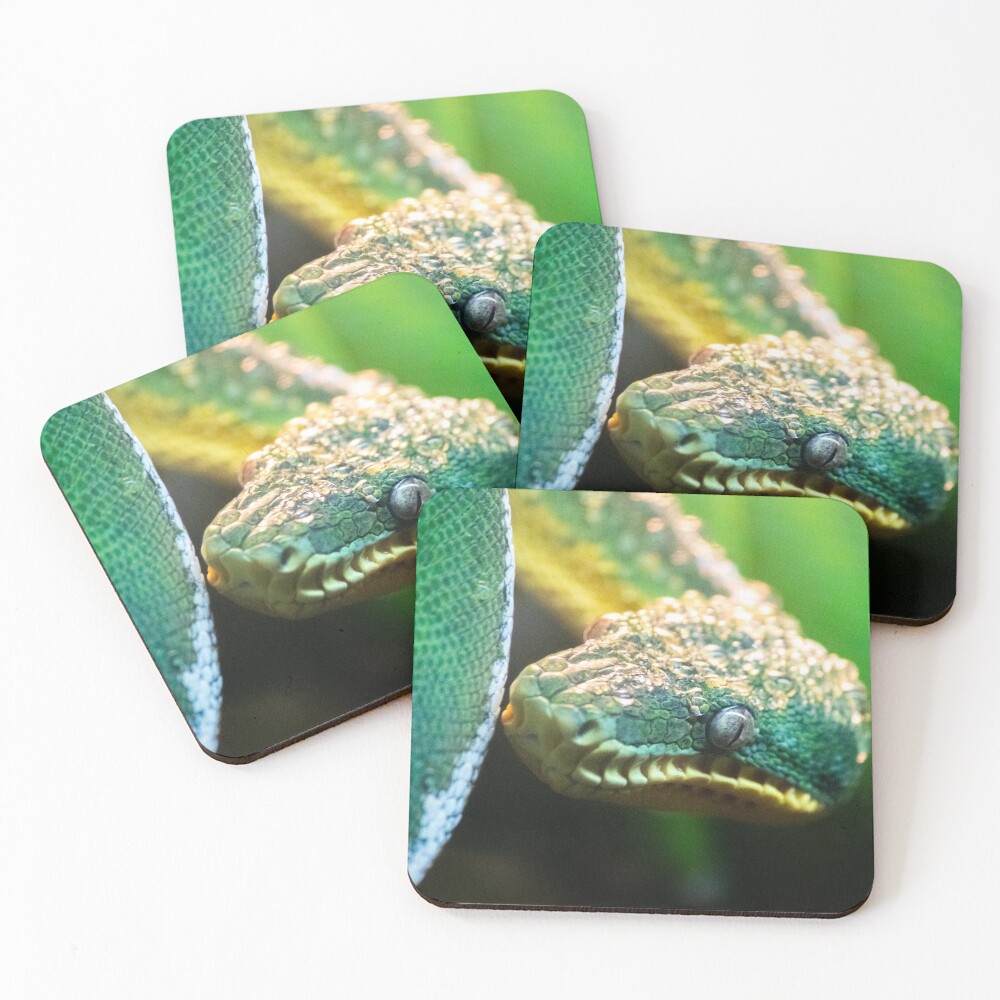 Item preview, Coasters (Set of 4) designed and sold by DoubleDownRB.