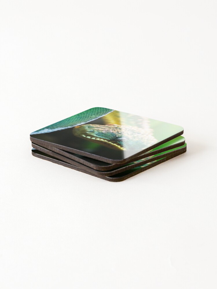 Thumbnail 4 of 5, Coasters (Set of 4), Green Tree Python designed and sold by DoubleDownRB.