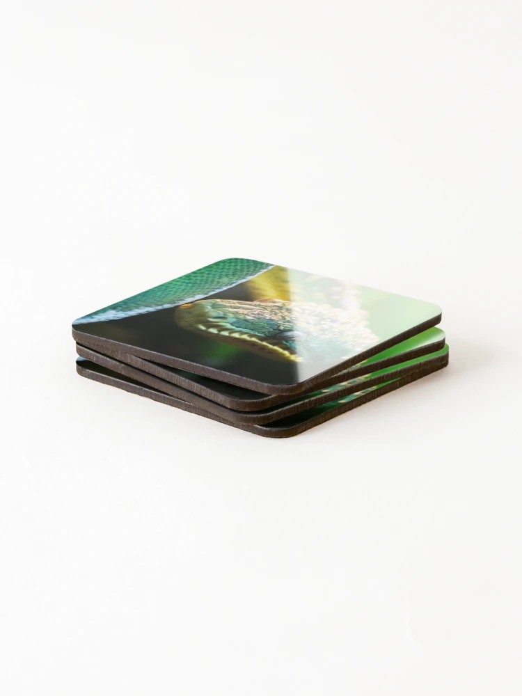 Thumbnail 4 of 5, Coasters (Set of 4), Green Tree Python designed and sold by DoubleDownRB.