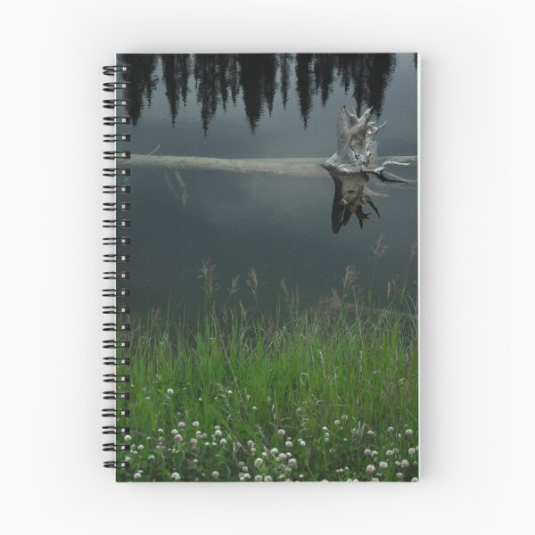 Item preview, Final Resting Place along the Cassiar  designed and sold by Barbara Burkhardt.