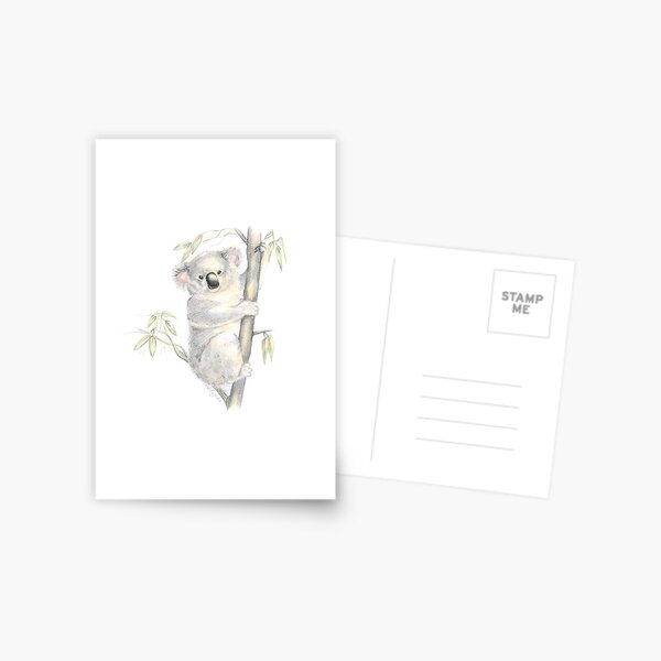 Koala Postcard