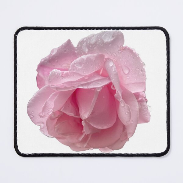 Item preview, Garden Rose (sans background) designed and sold by Goose Dreith.