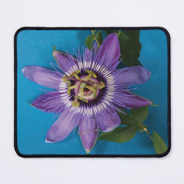 Item preview, Passion royal flower designed and sold by Goldenskik.