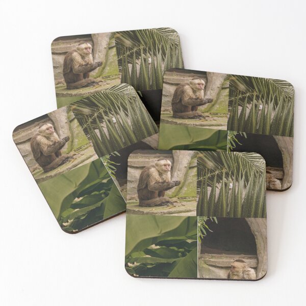 Item preview, Moneys in the forest designed and sold by ashleyhudson.