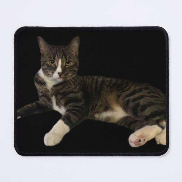 Item preview, Super Awesome Kitty #4 designed and sold by GALAXY OF HYPERVILLAINS.